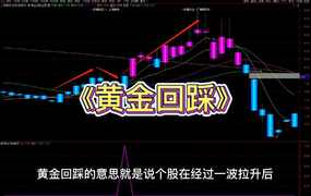 通达信《黄金回踩》主图+副图+选股预警指标公式源码
