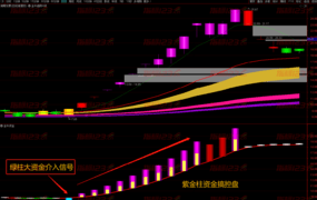 通达信《黑牛资金》全新升级版副图+选股看清主力动向的指标