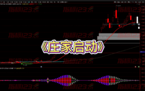 通达信黑牛《主力庄家启动》副图+选股预警公式源码