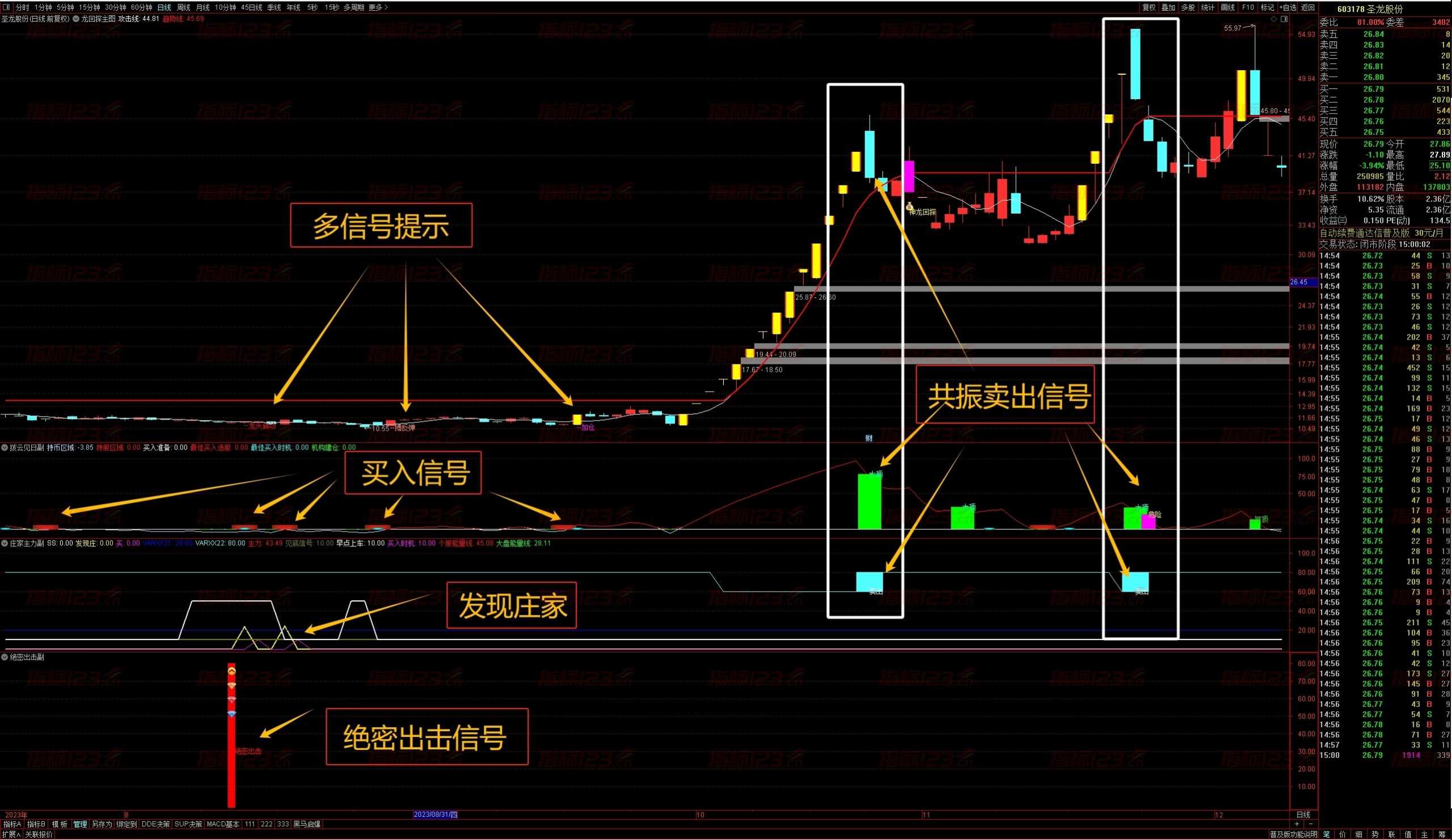 通达信《绝密抄底》主副图指标：揭秘股市底部的秘密